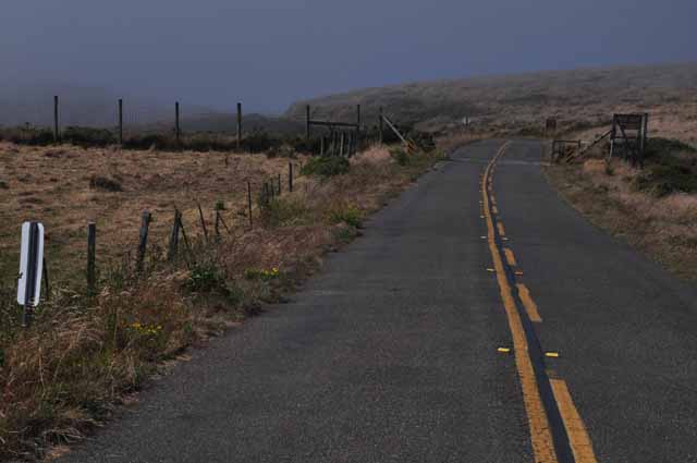 along the Pierce Point Road